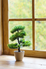 Small bonsai pine tree in beige pot placed on a wooden window sill with blurred autumn foliage outside. Cozy natural home interior with soft daylight and calm atmosphere.