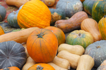 Pile, stack of assorted green and orange pumpkins close up. Autumn harvest concept with colorful various shapes and sizes squashes and gourds background. Thanksgiving, gardening, and organic farming.
