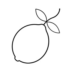 Single Lemon with a Couple of Leaves Attached