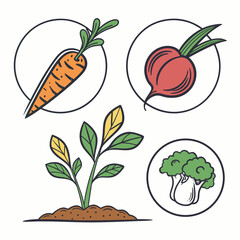 Collection of hand drawn vegetable icons including a carrot radish broccoli and a growing plant in soil