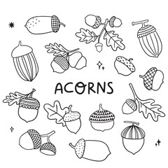 set of doodle acorns hand drawn illustration