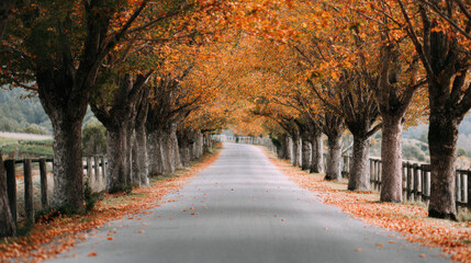 Scenic tree-lined road covered with autumn leaves creating a peaceful tunnel of fall colors.