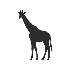 Giraffe Silhouette Vector Illustration Tall Animal Design