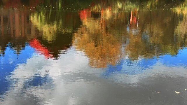 The lake landscape and the reflection of nature and trees on the water.
Small waves on the lake in a warm, windless day.