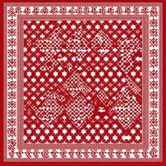Traditional Red and White Checkered Pattern with Detailed Intricate Motifs