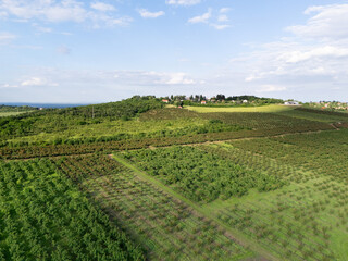Naklejka premium Aerial view of agricultural land. Valley of fruit farms