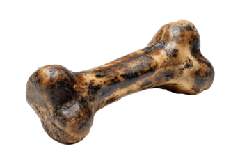 Close-up of a dog bone toy.  It's a light brownish-tan color with dark brown mottled markings. The bone is angled, and the ends are rounded