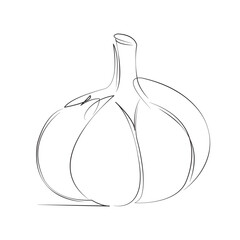 One continuous line drawing on white isolated background. Minimalism linear illustration. ingredient, garlic, food, isolated, spice, bulb, healthy, fresh, organic, vegetable
