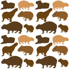 Capybara  pattern on white background.eps