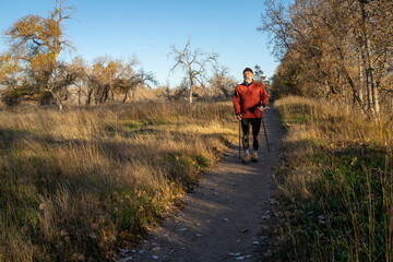 Fototapeta premium senior man is Nordic walking on a trail through a riparian forest along the Poudre River in Colorado, fall scenery