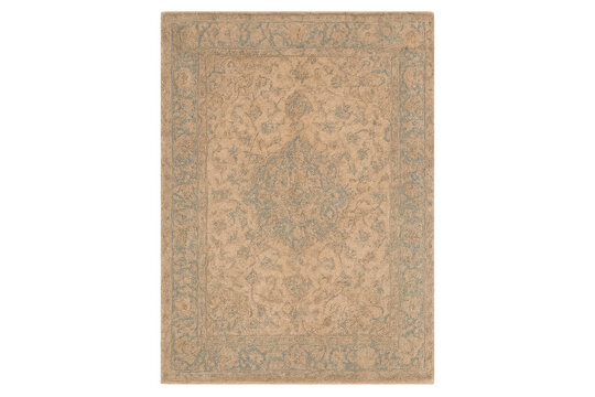 Traditional oriental beige and blue floral distressed rug