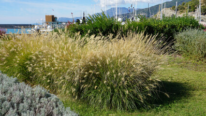 Yachts at Cala del Forte is marina located in Ventimiglia, Italy