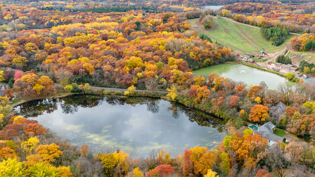 Aerial photography of water and forest with vibrant colorful autumn foliage at Bloomington, Minnesota