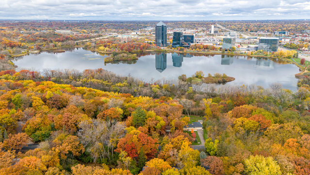 Aerial photography of water and forest with vibrant colorful autumn foliage at Normandale Lake, Bloomington, Minnesota