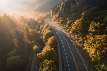 Winding Road Through Autumn Forest with Golden Sun Rays trees nature