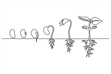 Naklejka premium One continuous line drawing of plant growth process from seed to seedling with root system