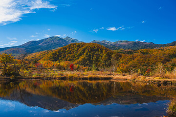 まいめの池　乗鞍高原