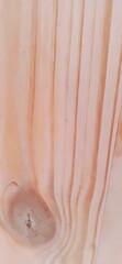 natural wood grain with knot, beige wood textured surface