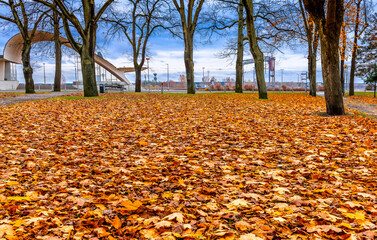 Late autumn. Continuous blanket of fallen leaves in old public park, with railway station building in the background. Fallen leaves create mulch, preventing soil erosion and protecting plant roots

