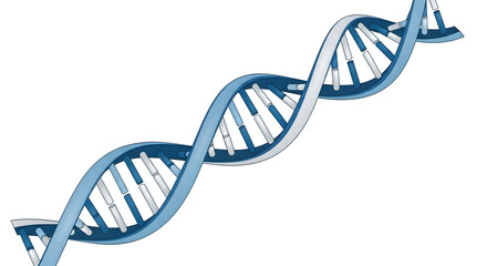 Blue DNA Double Helix Structure on White Background
