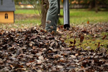 Cordless Leaf Blowers. handheld, cordless, electric leaf blower in a garden, selective focus. Autumn, fall gardening works in a backyard, on a lawn, grass. Garden works. 