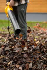 Obraz premium Cordless Leaf Blowers. handheld, cordless, electric leaf blower in a garden, selective focus. Autumn, fall gardening works in a backyard, on a lawn, grass. Garden works. 