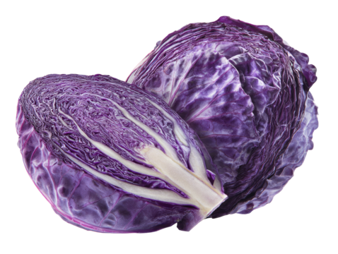 Two halves of a vibrant purple cabbage