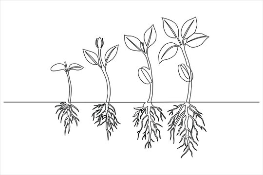 Botany and agricultural development are shown in a modern single-line drawing