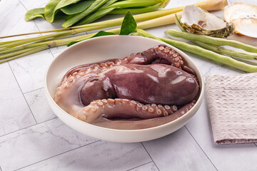 Gourmet luxury raw wild octopus