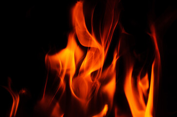 Fototapeta premium Vibrant flames dance against a dark background, creating a dramatic visual