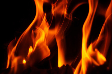 Fototapeta premium Vibrant flames dancing against a dark background, creating a fiery spectacle.