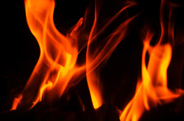 Fototapeta premium Vibrant flames dancing against a dark background, creating a mesmerizing display.