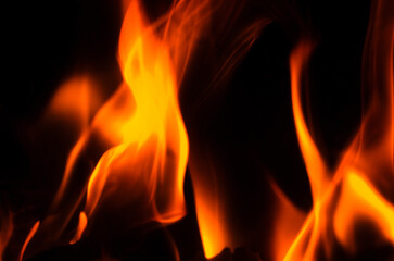 vibrant flames dancing against a dark background