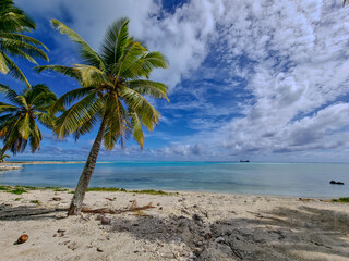 Fototapeta premium Beautiful Beach in Aitutaki