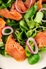 Salmon Salad appetizer seafood fresh fish second course portion size natural product tasty snack fresh delicious gourmet food background on the table rustic top view copy space pescetarian diet