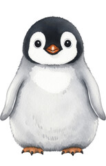 Fototapeta premium Cute watercolor baby penguin with orange beak and feet, adorable chick on a transparent background, PNG image file for winter holiday greeting designs