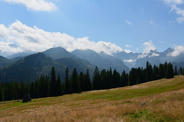 Obraz premium Rusinowa Polana, one of the most scenic clearings in the Polish Tatra Mountains. Tatra National Park, Zakopane, Poland. Panorama of High Tatra (mostly Slovak) and Bielskie Tatra.