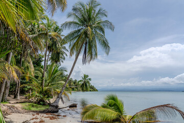 Panama, Isla Colon, Starfish Beach, Bocas del Toro, 

