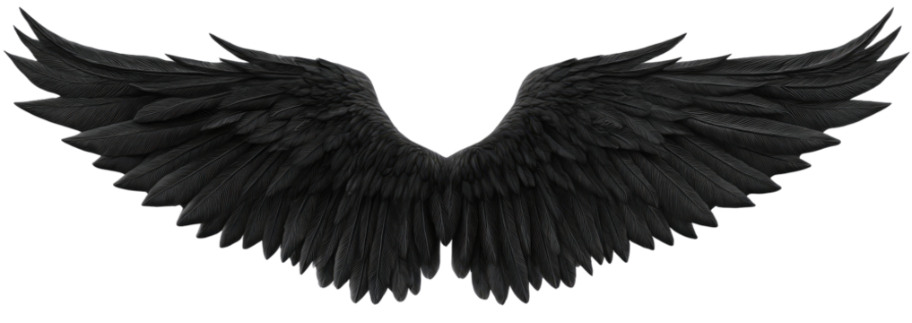 Dark, detailed angel wings