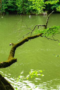 Parz Lich (Clear Lake), mountainous lake near Dilijan, Armenia