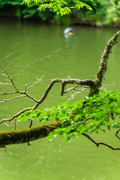 Parz Lich (Clear Lake), mountainous lake near Dilijan, Armenia