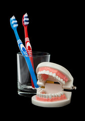 Toothbrushes in a glass and jaw isolated on black background.