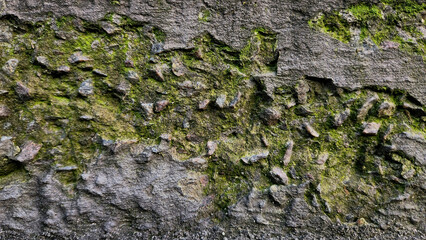 Textured mossy stone wall with rugged surface