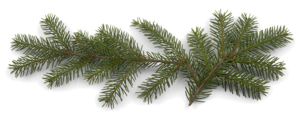 christmas tree branches
