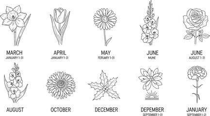 Monthly birth flowers illustration, minimal line art floral collection, botanical vector design for calendar months, nature inspired elegant flower drawing