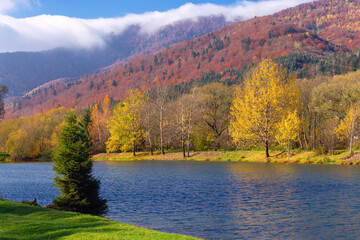 Autumn Landscape in Carpathians Ukraine