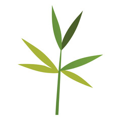 flat color bamboo ranch leaves vector illustration