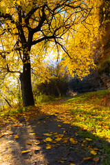 Peaceful autumn landscape in the Republic of Moldova with colorful forests, golden trees, and gentle sunlight