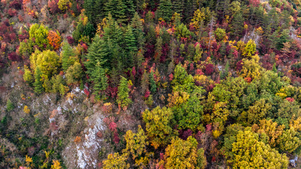 Veduta aerea di colline in foliage, tonalità dorate e rosse che disegnano il paesaggio rurale