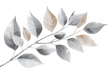 png Elegant watercolor branch with leaves neutral tones of gray and beige for wedding invitations or botanical designs